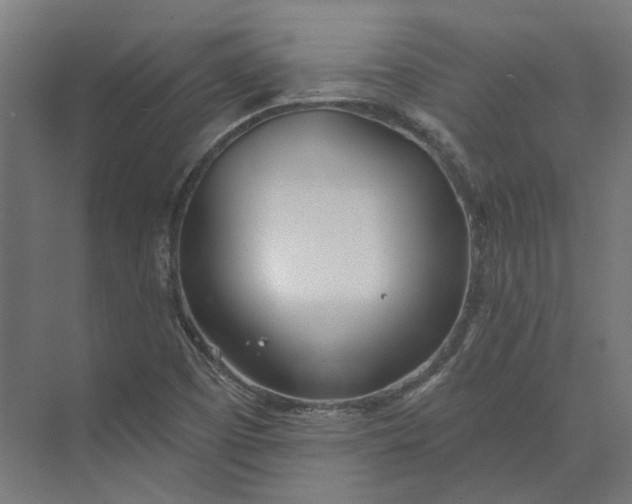 X0000073951457200609051740