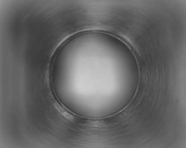 X0000073951460200609051740