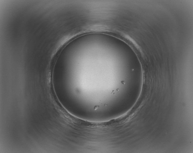 X0000073951461200609051740