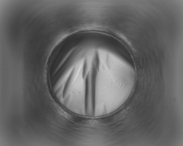 X0000073951463200609051740