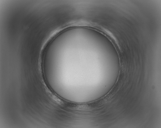 X0000073951464200609051740