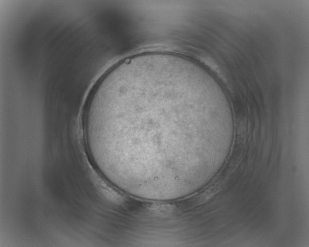 X0000073951466200609051740