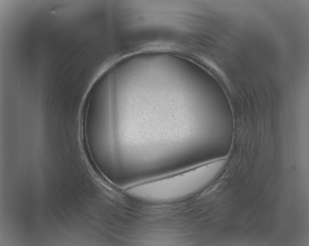 X0000073951467200609051740