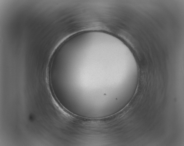 X0000073951468200609051740