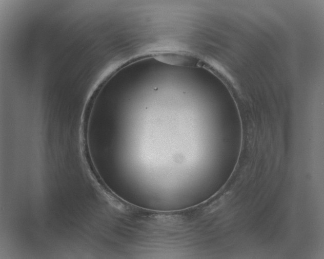 X0000073951469200609051740