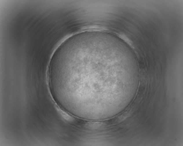 X0000073951474200609051740