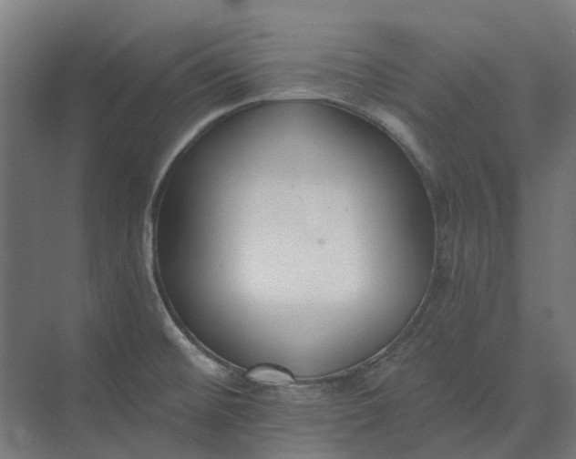 X0000073951476200609051740