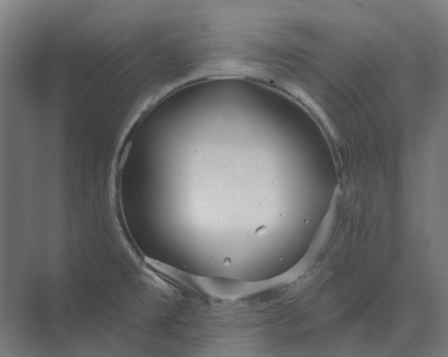 X0000073951477200609051740