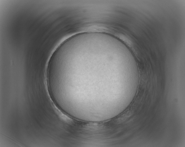 X0000073951478200609051740