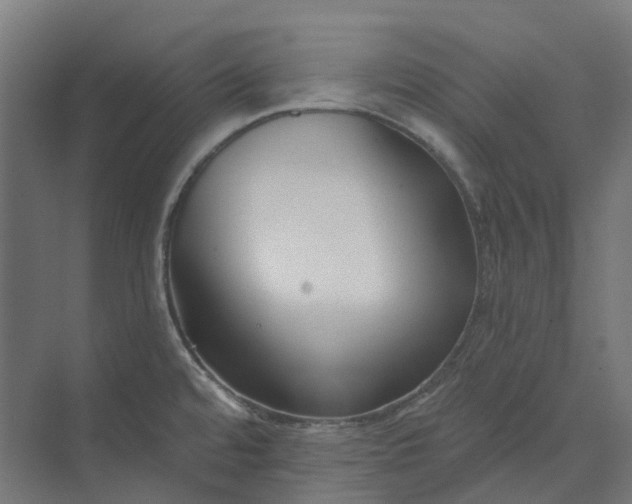 X0000073951480200609051740