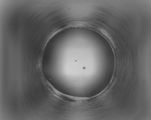 X0000073951481200609051740