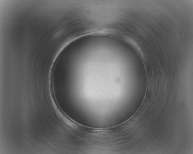 X0000073951483200609051740