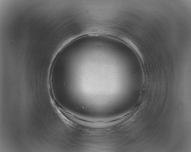 X0000073951485200609051740