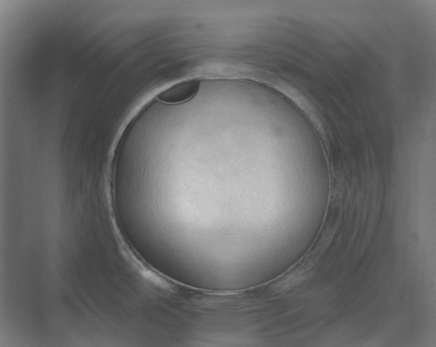 X0000073951486200609051740