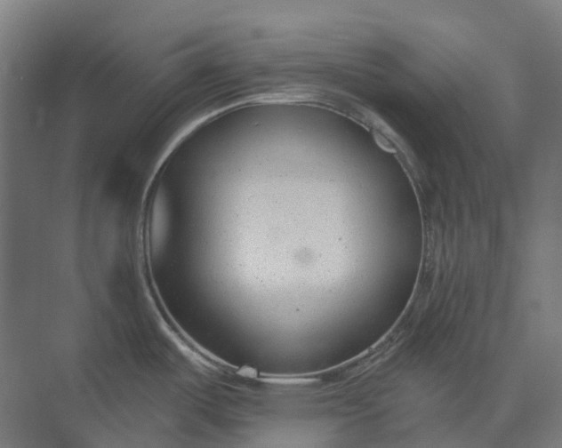 X0000073951487200609051740