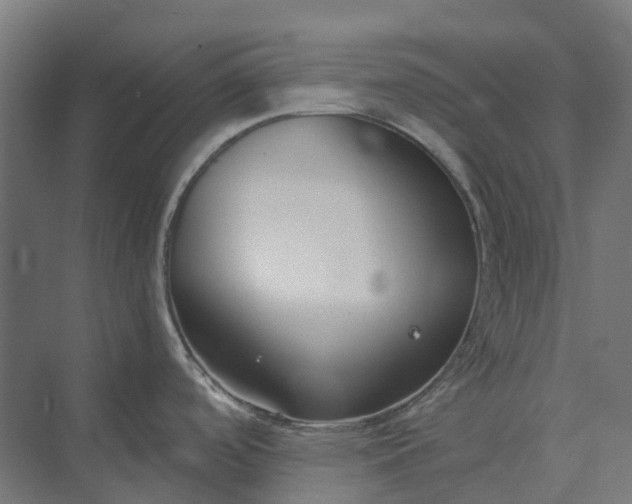 X0000073951488200609051740