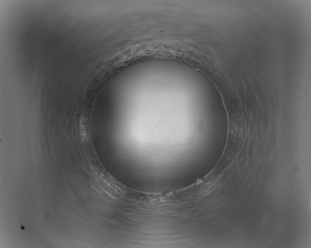 X0000073951490200609051739