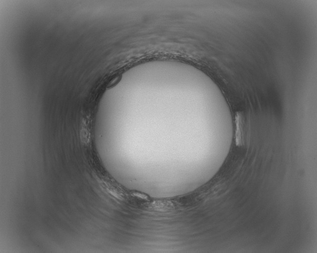 X0000073951491200609051739