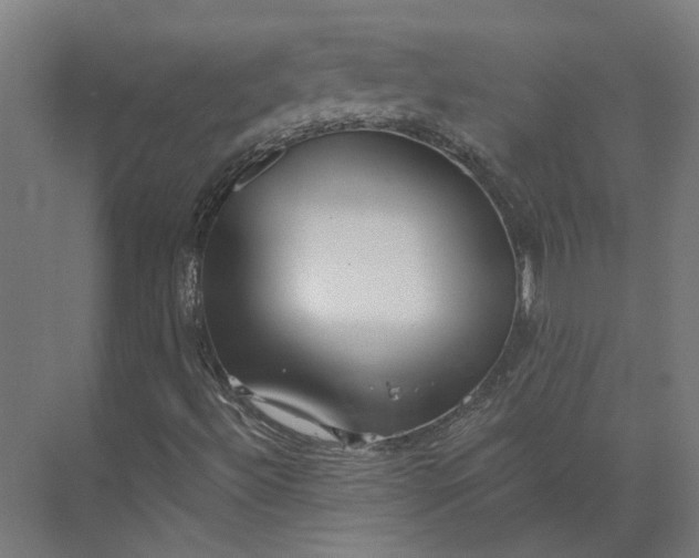 X0000073951492200609051739