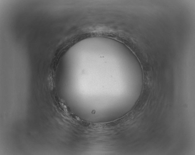 X0000073951493200609051739