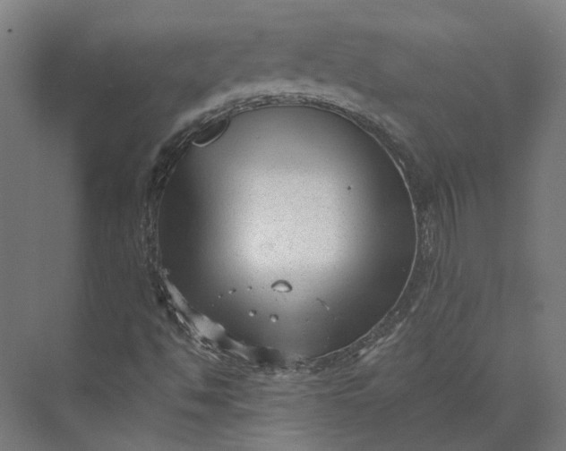 X0000073951494200609051739