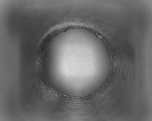 X0000073951495200609051739