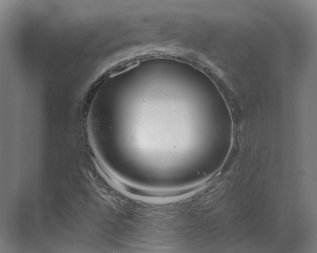 X0000073951496200609051739