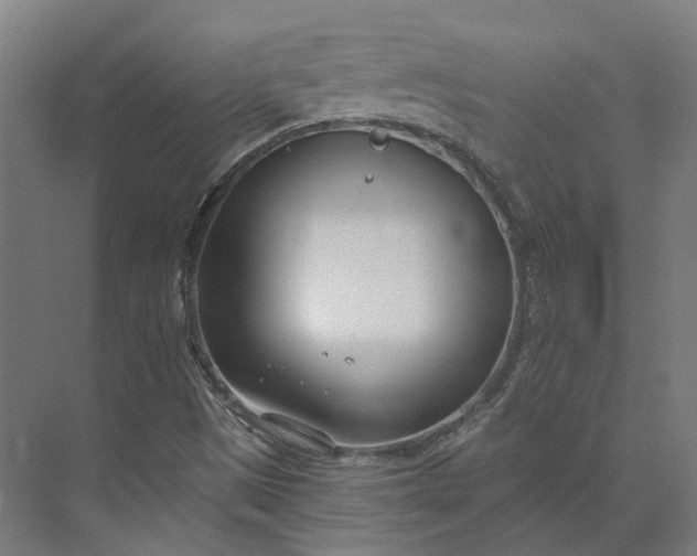 X0000073951497200609051739