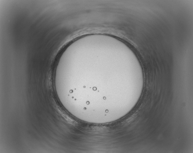 X0000073951498200609051739