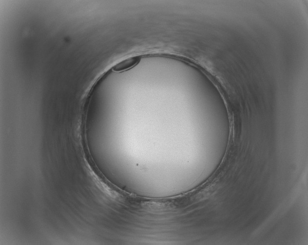 X0000073951500200609051739