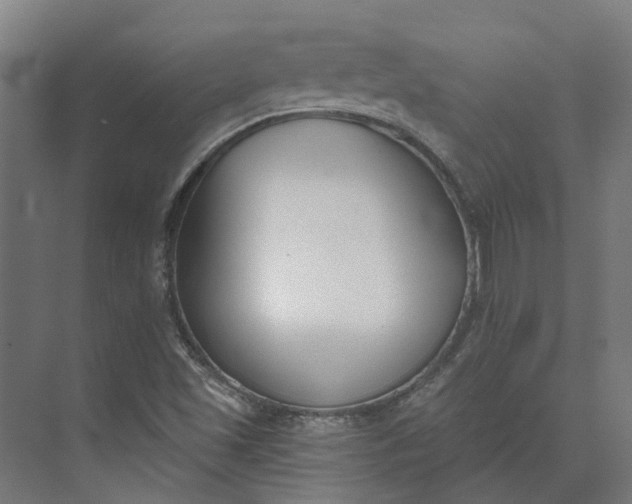 X0000073951501200609051739