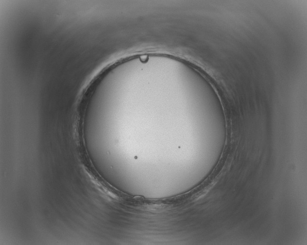 X0000073951502200609051739