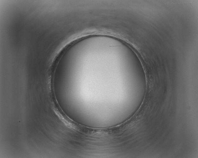 X0000073951503200609051739