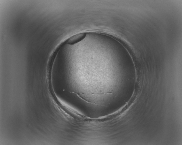 X0000073951506200609051739