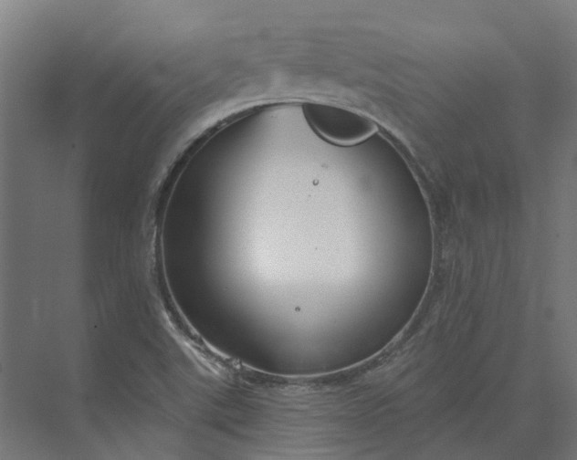 X0000073951507200609051739