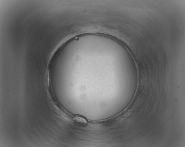 X0000073951509200609051739