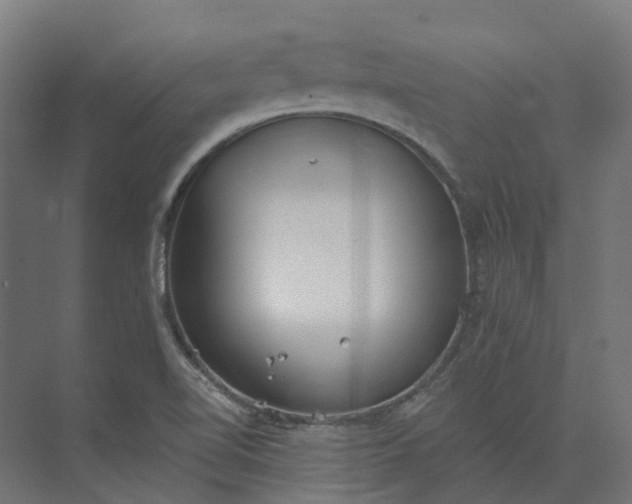 X0000073951510200609051739