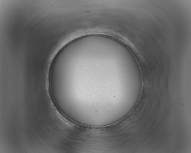 X0000073951512200609051739