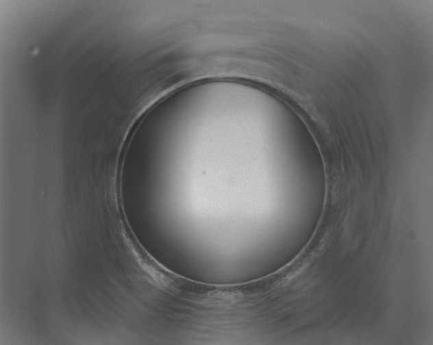 X0000073951513200609051739