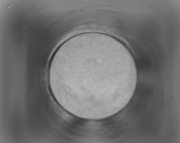 X0000073951514200609051739