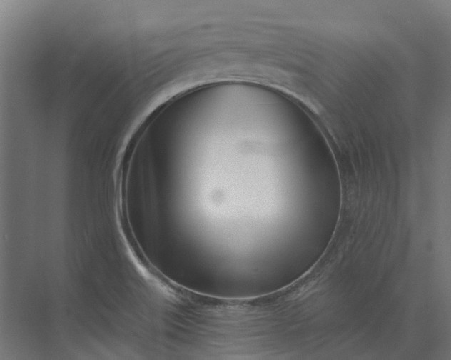 X0000073951515200609051739