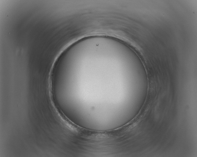 X0000073951517200609051739