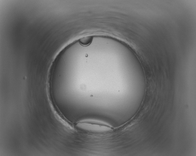 X0000073951518200609051739