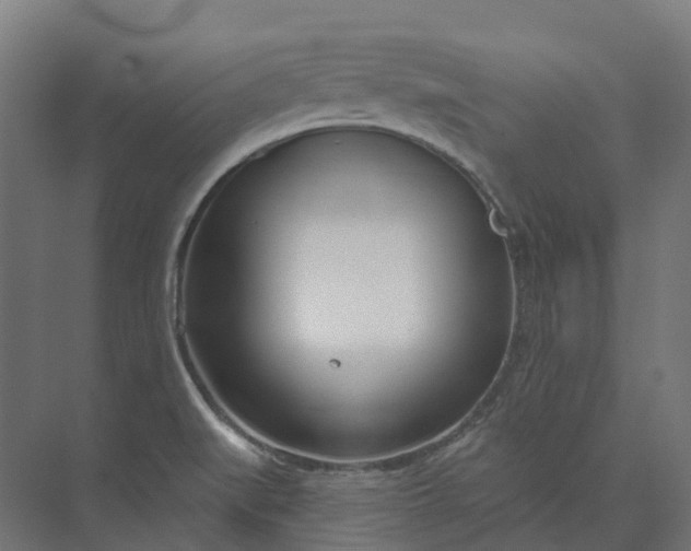 X0000073951519200609051739