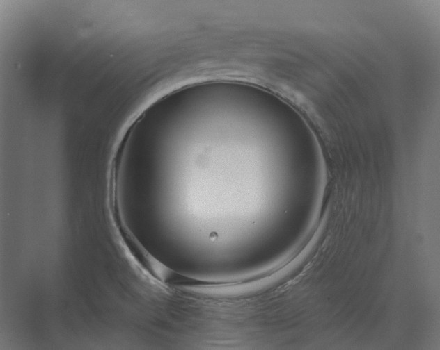 X0000073951520200609051739