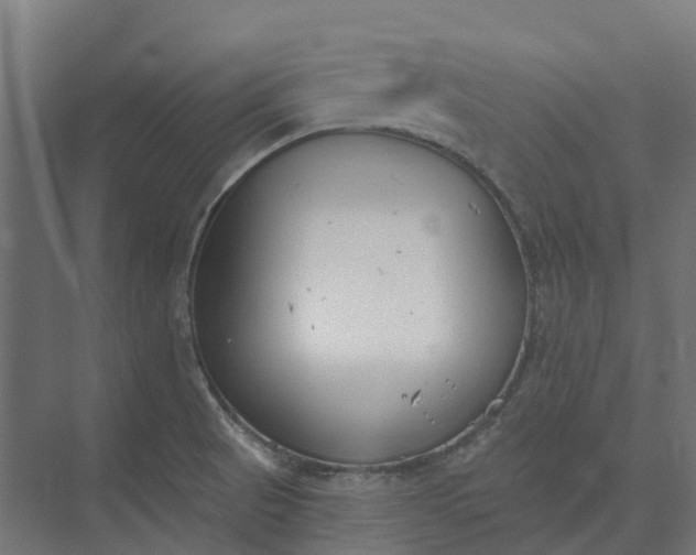 X0000073951521200609051739