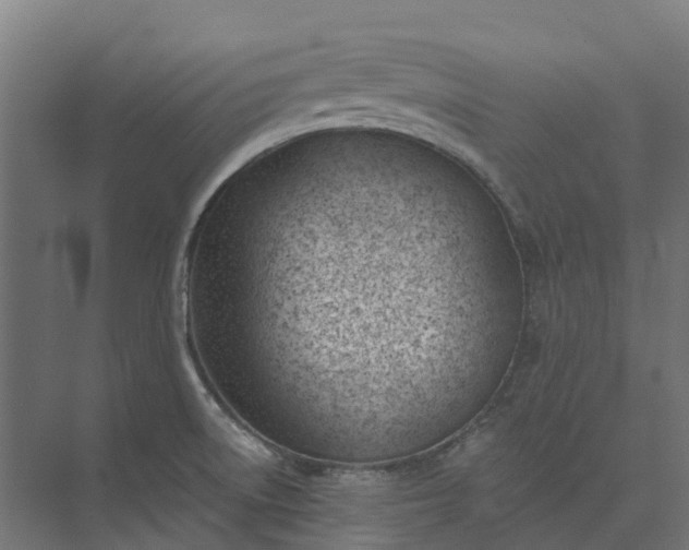 X0000073951522200609051739