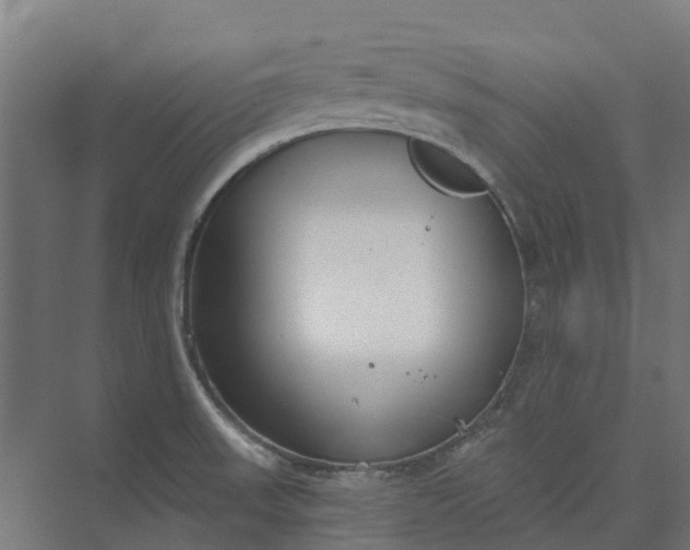 X0000073951523200609051739