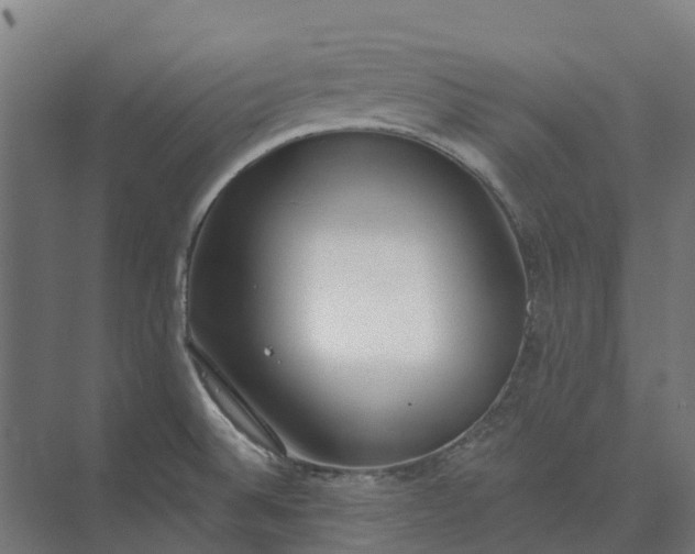 X0000073951524200609051739