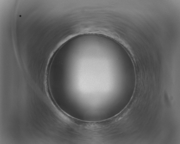 X0000073951525200609051739